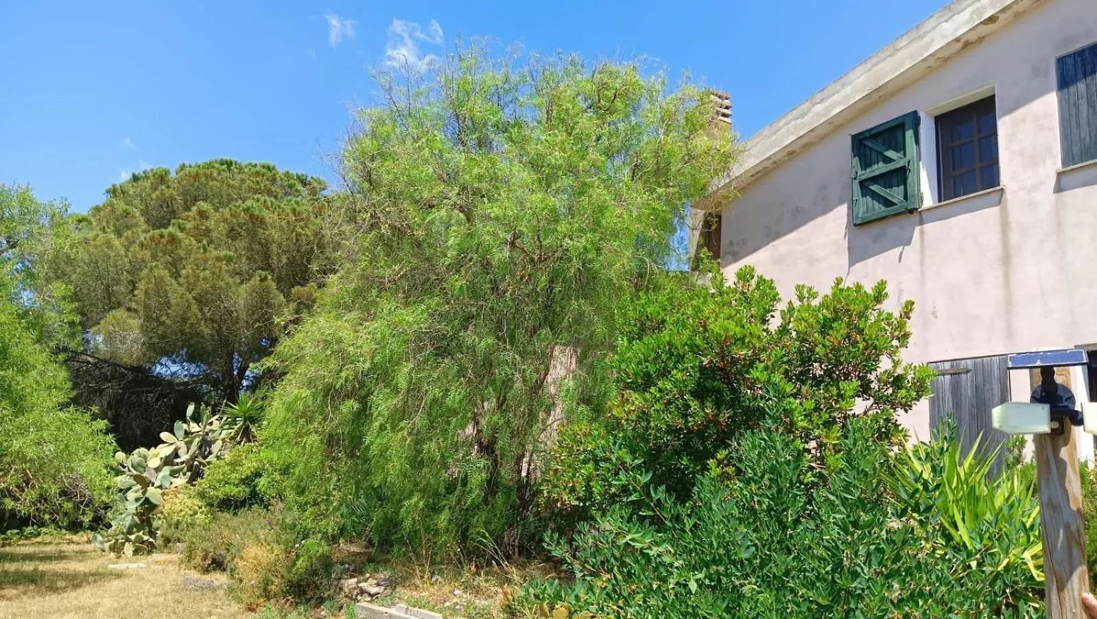 Apartmán Domus Alghero